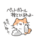 家族にお届けにゃんこスタンプ2（個別スタンプ：31）