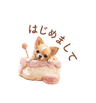 チワワ×スイーツ♡使いやすい日常スタンプ（個別スタンプ：7）