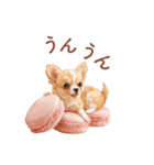 チワワ×スイーツ♡使いやすい日常スタンプ（個別スタンプ：8）