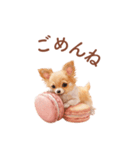 チワワ×スイーツ♡使いやすい日常スタンプ（個別スタンプ：17）