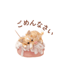 チワワ×スイーツ♡使いやすい日常スタンプ（個別スタンプ：20）