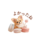 チワワ×スイーツ♡使いやすい日常スタンプ（個別スタンプ：23）