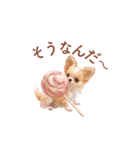 チワワ×スイーツ♡使いやすい日常スタンプ（個別スタンプ：25）