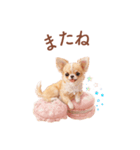 チワワ×スイーツ♡使いやすい日常スタンプ（個別スタンプ：26）