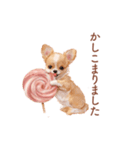 チワワ×スイーツ♡使いやすい日常スタンプ（個別スタンプ：34）