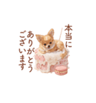 チワワ×スイーツ♡使いやすい日常スタンプ（個別スタンプ：36）