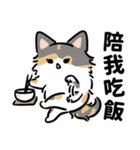 春花ママ✙ジョジ 甘えるの猫（個別スタンプ：19）