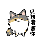 春花ママ✙ジョジ 甘えるの猫（個別スタンプ：20）