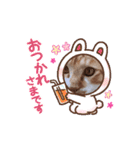 茶トラ猫ちゃろ様（個別スタンプ：1）