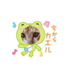 茶トラ猫ちゃろ様（個別スタンプ：3）