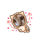 茶トラ猫ちゃろ様（個別スタンプ：6）