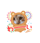 茶トラ猫ちゃろ様（個別スタンプ：7）
