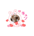 茶トラ猫ちゃろ様（個別スタンプ：9）