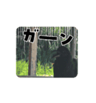 畜産農家スタンプ動画（個別スタンプ：14）