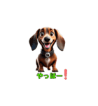 ❤️年中使える❤️かわいい犬ワンちゃん❤️（個別スタンプ：11）