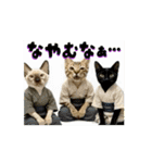 お酒とネコ好きな日常会話58（個別スタンプ：5）
