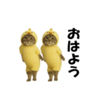 お猫様の動くスタンプ4（個別スタンプ：9）