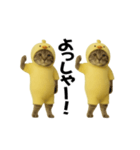 お猫様の動くスタンプ4（個別スタンプ：11）