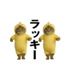 お猫様の動くスタンプ4（個別スタンプ：12）