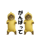 お猫様の動くスタンプ4（個別スタンプ：13）