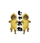 お猫様の動くスタンプ4（個別スタンプ：24）