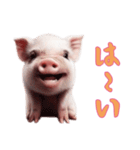 マイクロブタ達の日常2（個別スタンプ：1）