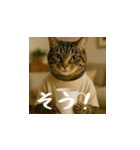 小花達の日常会話スタンプ3（日本語）（個別スタンプ：4）