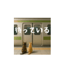 小花達の日常会話スタンプ3（日本語）（個別スタンプ：14）