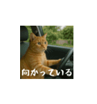 小花達の日常会話スタンプ3（日本語）（個別スタンプ：16）