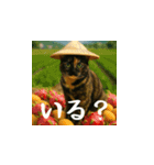 小花達の日常会話スタンプ3（日本語）（個別スタンプ：17）