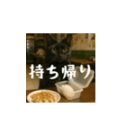 小花達の日常会話スタンプ3（日本語）（個別スタンプ：19）