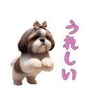 ほっこりシーズーの日常（個別スタンプ：1）