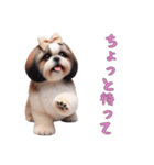 ほっこりシーズーの日常（個別スタンプ：5）