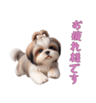 ほっこりシーズーの日常（個別スタンプ：6）