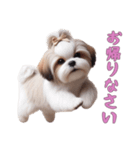ほっこりシーズーの日常（個別スタンプ：7）