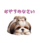 ほっこりシーズーの日常（個別スタンプ：8）