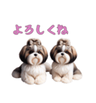 ほっこりシーズーの日常（個別スタンプ：11）