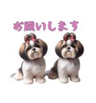 ほっこりシーズーの日常（個別スタンプ：14）