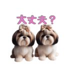 ほっこりシーズーの日常（個別スタンプ：15）