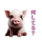 マイクロブタ達の日常1（個別スタンプ：3）