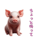 マイクロブタ達の日常1（個別スタンプ：10）