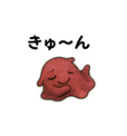 【毎日使える】深海魚スタンプ（個別スタンプ：15）