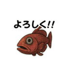 【毎日使える】深海魚スタンプ（個別スタンプ：19）