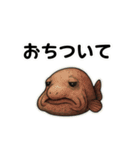【毎日使える】深海魚スタンプ（個別スタンプ：38）