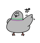 ハートフルなハトポッポ（個別スタンプ：13）