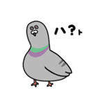 ハートフルなハトポッポ（個別スタンプ：22）