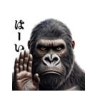 ゴリラ×圧が強いw3Dリアル（個別スタンプ：4）