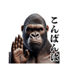 ゴリラ×圧が強いw3Dリアル（個別スタンプ：11）