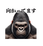 ゴリラ×圧が強いw3Dリアル（個別スタンプ：26）