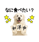 グレートピレニーズ★毎日使う家族連絡（個別スタンプ：2）